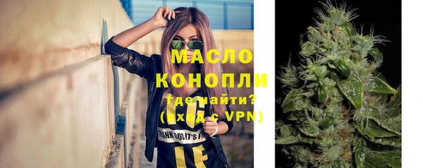 прущие грибы Вязьма
