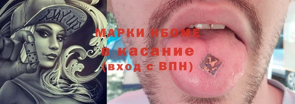 прущие грибы Вязьма