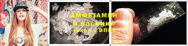 шишки Вязники