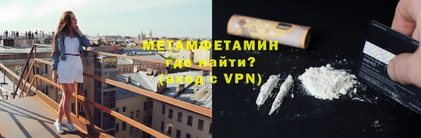 прущие грибы Вязьма
