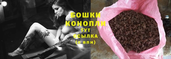 шишки Вязники