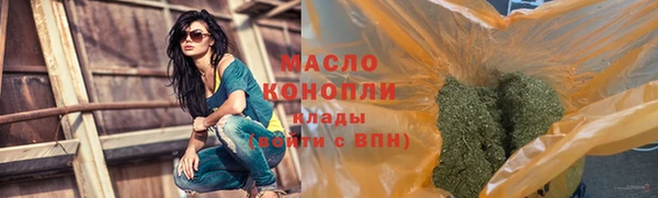 прущие грибы Вязьма
