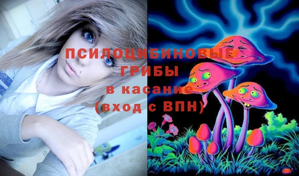 jwh Вяземский