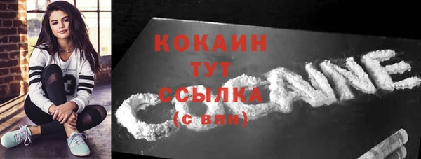 шишки Вязники