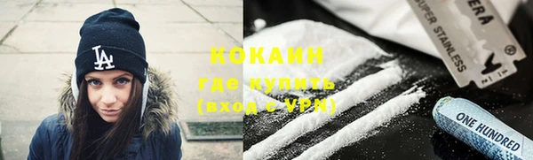 прущие грибы Вязьма
