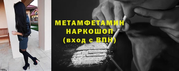 прущие грибы Вязьма