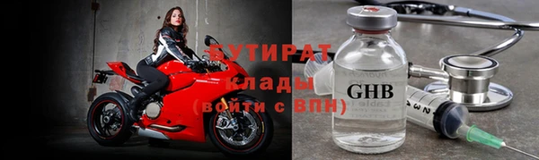 прущие грибы Вязьма