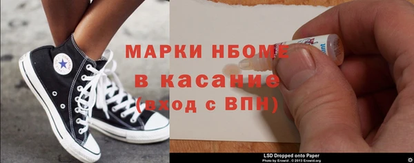 прущие грибы Вязьма