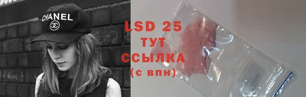 шишки Вязники