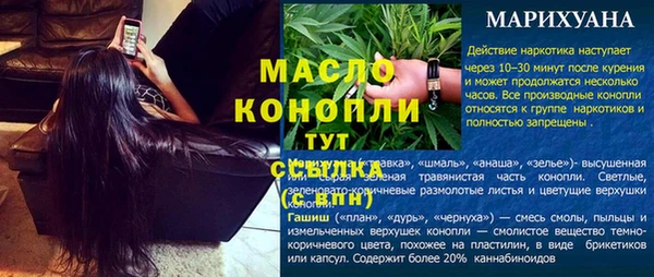 прущие грибы Вязьма