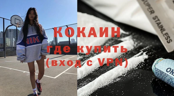 шишки Вязники