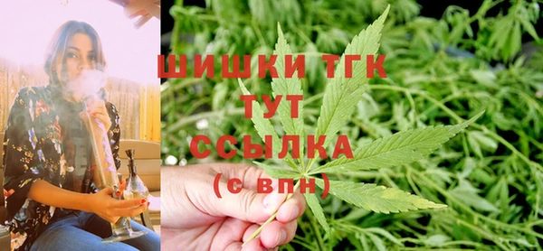 шишки Вязники