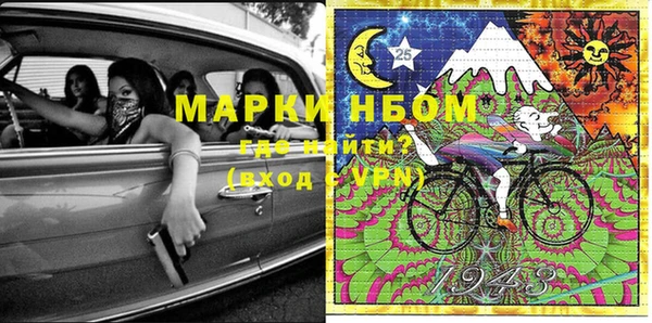 шишки Вязники