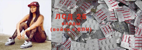 прущие грибы Вязьма