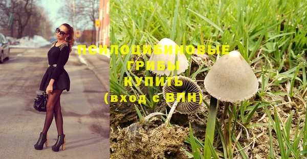 jwh Вяземский