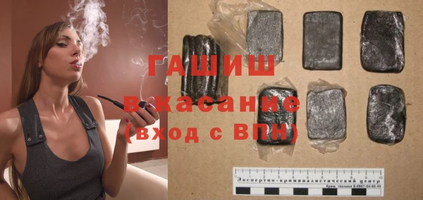 прущие грибы Вязьма