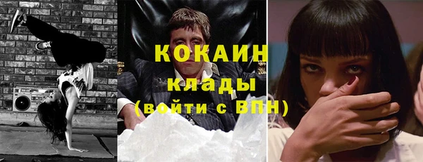 прущие грибы Вязьма