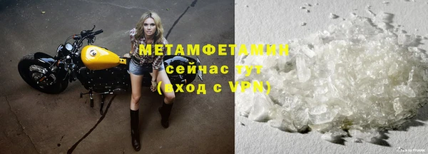 прущие грибы Вязьма