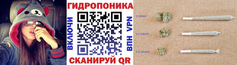 Канабис VHQ  где найти наркотики  Камышин 